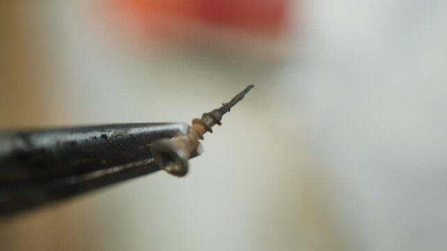 Wood screw cross slot rusted, corroded, oxidised