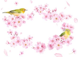 桜の花と小鳥（メジロ）の水彩イラストでデザインした、緩やかな楕円形フレーム 背景に花びら 透過背景