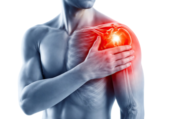 Human shoulder joint anatomy with rotator cuff muscles tendons ligaments and pain inflammation highlighted detailed medical illustration isolated on white background