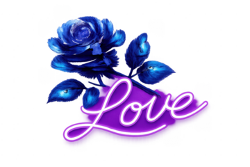 Blue rose with love text on transparent background