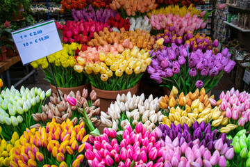 Selling tulips in Amsterdam, the Netherlands © SR  Designer