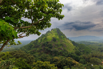 Green Hill and Tropical Tree in Central Sri Lanka