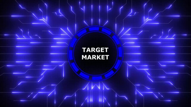 Animated graphic presenting target market concept with modern futuristic blue design, 4k video