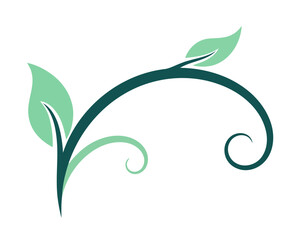 Elegant Swirls and Leaves Decorative Flourish Vector Art - Classic Design Element for Branding and Artistic Projects