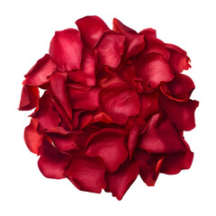 Cluster of red rose petals, isolated on transparent background