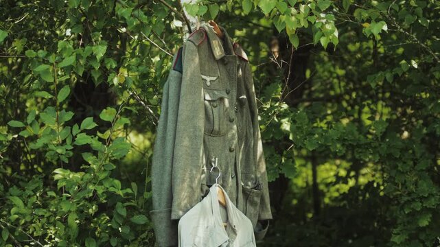 German Wehrmacht private soldier uniform hangs from birch tree branch. Military wool tunic, trousers. Insignia visible. Historical artifact outdoors. Third Reich army vintage clothing. Field camp.