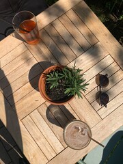 Sunny Cafe Table with Iced Coffee, Tea and Potted Plant; Outdoor Cafe Table with Drinks, Sunglasses and Green Plant; iced coffee, tea, a small potted plant, and sunglasses on a wooden table
