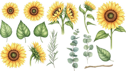 A beautiful watercolor illustration set featuring vibrant yellow sunflowers, green leaves, and delicate eucalyptus branches, perfect for summer designs.