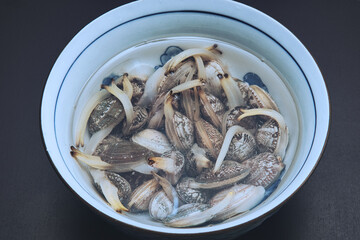 器の中に塩水と一緒に入れられた、砂抜き中のあさり