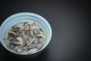 器の中に塩水と一緒に入れられた、砂抜き中のあさり