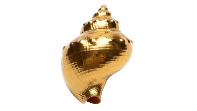 Isolated golden ornate seashell still life, conch shell or nautilus shell decoration piece