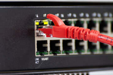 Close-up a red ethernet cable into a network switch or router. Concept of data connection, internet technology, and IT infrastructure