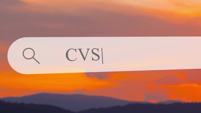 User types in CVS to find specific information using the search bar on their web browser. The setting includes a beautiful sunset view over mountains and water.