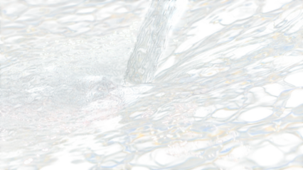 Dolphin jumping in shallow waters isolated on transparent background