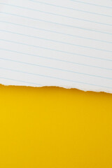 uneven torn white lined paper on grunge yellow paper, top view