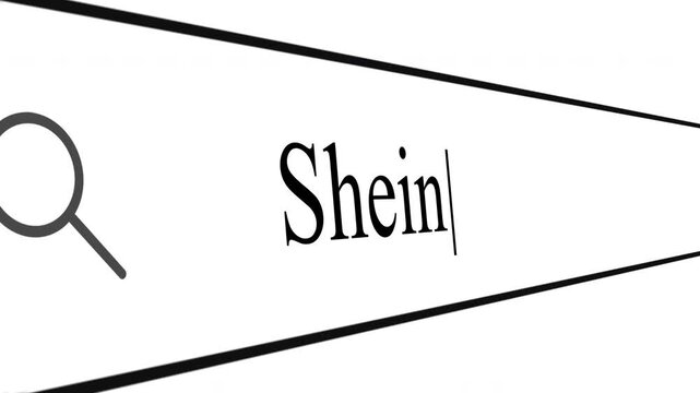 User types Shein in the address bar to find details and information. The focus is on the search box and the search process involved.