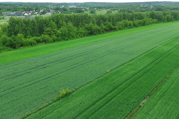 Drone view of rural farmland and green meadows