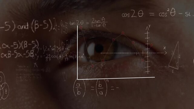 Animation of data processing over mathematical formulae