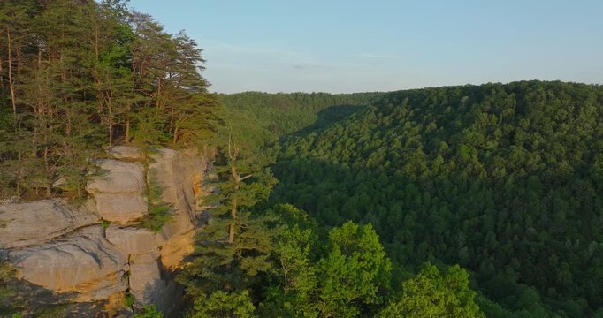 Sweeping view around lush cliffside forest, Red River Gorge, Kentucky