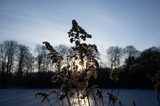 Region Teutoburger Wald