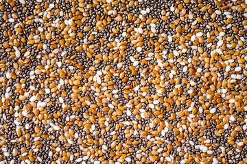Fototapeta premium Chia and flax seeds macro texture with organic pattern, showcasing a vibrant mix of colors and shapes in a natural setting for culinary use