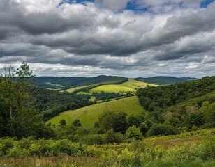 Green hills, fields, trees. Beautiful summer landscape