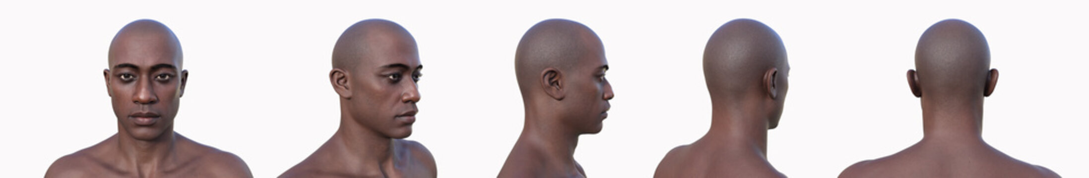 Head, 3D illustration