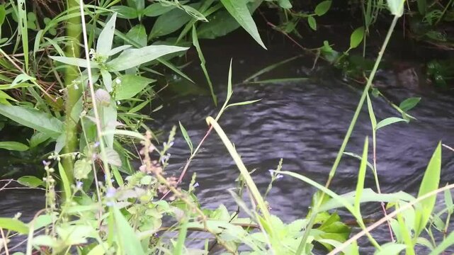 The ripples of water in an irrigation channel