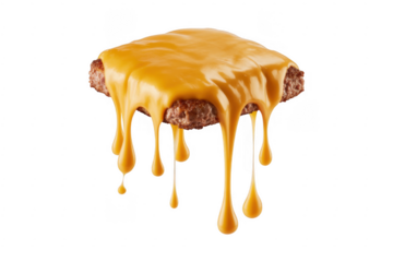 Cheesy Burger Patty cheeseburger melted cheese beef patty isolated on a transparent background