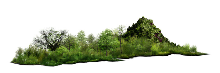 Obraz premium grass on white background/panoramic green forest and mountain scene with trees and grass isolated on a white background.