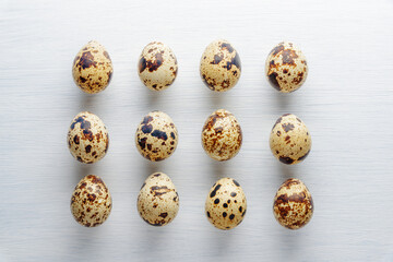 Top view of rows of quail eggs on white table