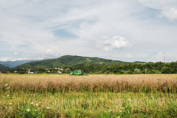Summer mountains on a bright summer day landscape.