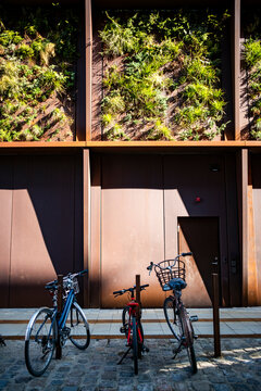 Modern copenhagen bicycle parking on urban street with shadow beside architecture facade and greenery for sustainable everyday mobility