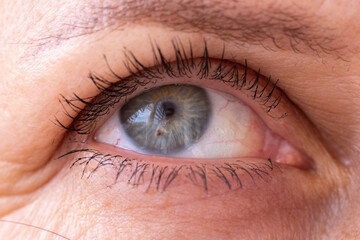 Fototapeta premium Close-up of an elderly person's eye with blue-gray iris, visible eyelashes, wrinkles, and reflection of photographer in the pupil