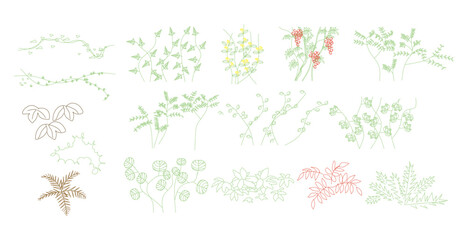 CAD Drawings. Minimal style cad tree line side view, set of graphics trees elements outline symbol for architecture and landscape design drawing. Vector illustration. 