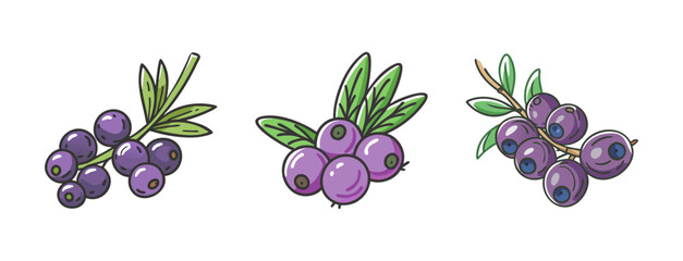 Acai berry branches with leaves, hand-drawn vector illustration