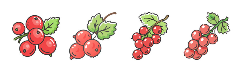 Redcurrant berries on branches with green leaves, isolated on white background.