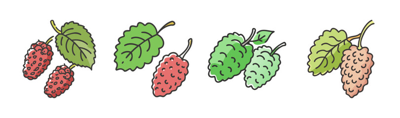 Hand-drawn mulberries with green leaves, isolated on white background.