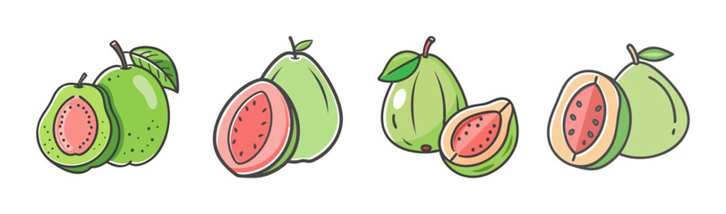 Hand-drawn guavas, whole and sliced, showing pink and green varieties.