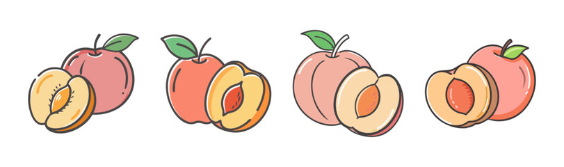 Juicy nectarines and peaches, whole and halved, showing stone and flesh, vector art
