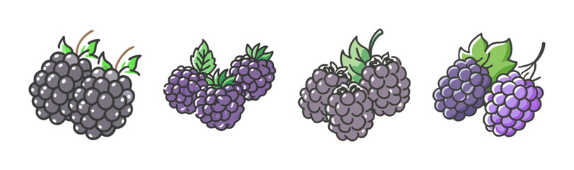 Set of cartoon blackberries with green leaves on a white background