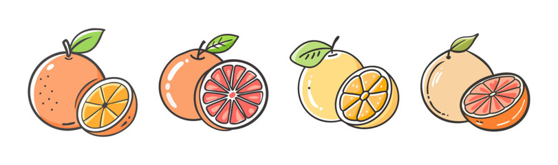 Collection of cartoon grapefruits and oranges, whole and sliced