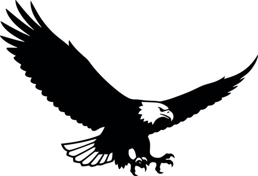 Black and white eagle silhouette flying with open talons vector for apps and websites
