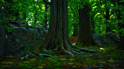 Fototapeta premium Sunlight filters through a thick canopy of leaves in a quiet forest. Ancient trees stand tall, their gnarled roots entwined with rocks and moss, creating a serene atmosphere.
