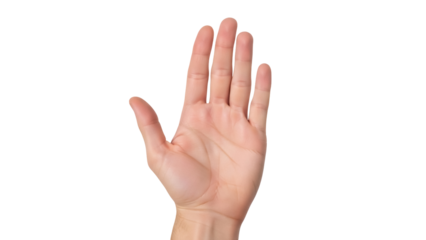 Isolated human hand raised up flat, showing palm facing forward in a welcoming gesture