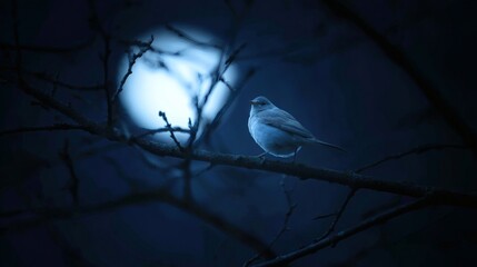 A Nightingale Perched on a Moonlit Branch with Soft Feather Details in a Serene Blue Night Atmosphere, Shallow Depth of Field F/4, Natural Moonlight, Clean Composition with Copy Space. Peaceful Noctur