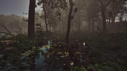 Soft morning light shines through tall trees, creating a peaceful atmosphere in the forest. Lush greenery surrounds a small pond reflecting the beauty of nature.