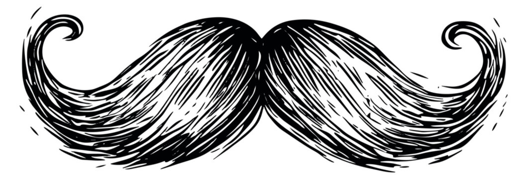 Hand drawn illustration of a mustache depicting a classic curly style for men's fashion