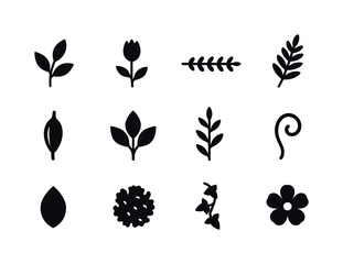 Fototapeta premium Botanical Icon Set. Botanical design elements. Solid icon set of botanical design elements: leaf sprig, flower bud, branch line, fern frond, seed pod, leaf
