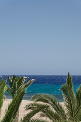 tropical beach with palm trees